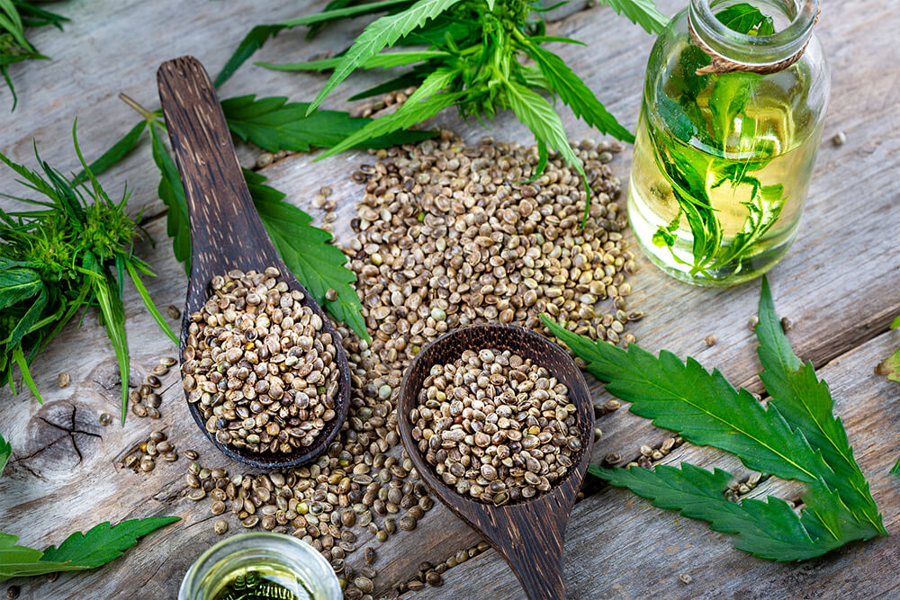 Best CBD for Weight Loss and Fat Burning | High Times